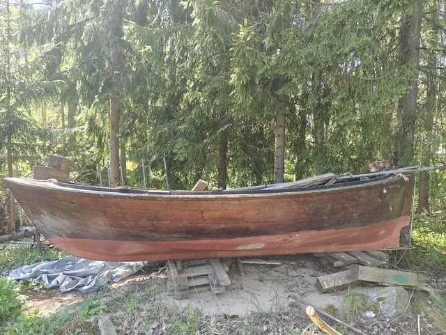 Kumpuselkä kumpuselkålåinen